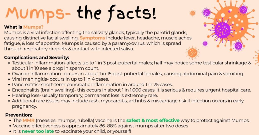 Mumps The Facts 2 E1769432025326 2048x1067